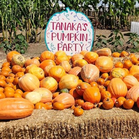 Santa Ana Casino Pumpkin Patch