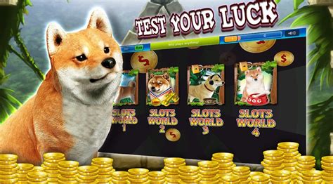 Shiba Casino App