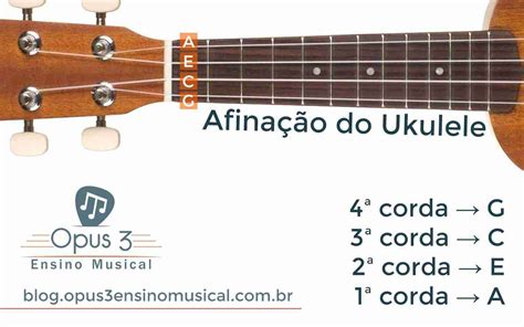 Sistema De Roleta De Um Guia Ukulele