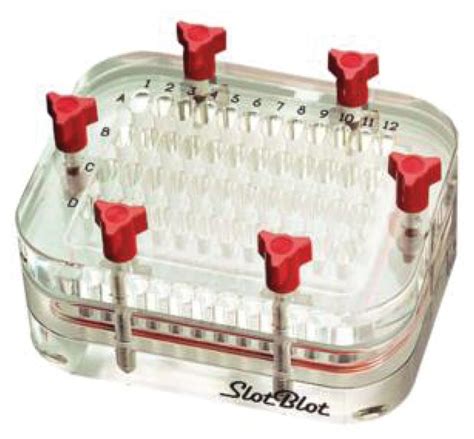 Slot Blot Distribuidor