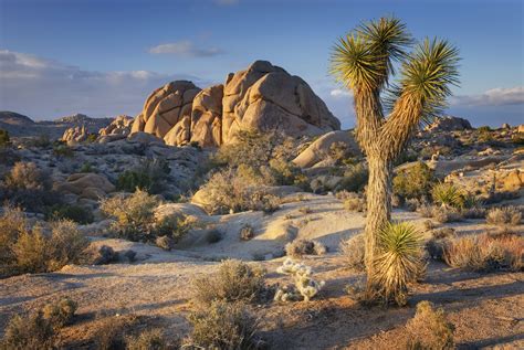 Slot De Canions Parque Nacional Joshua Tree