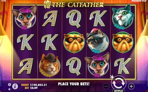 Slot The Catfather