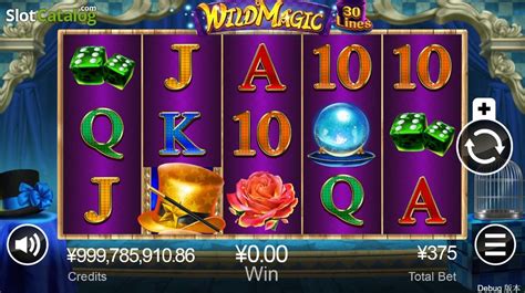 Slot Wild Magic