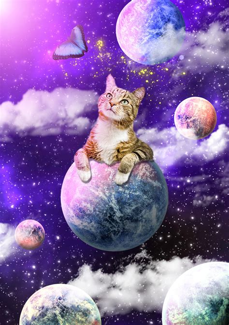 Space Cat Betfair