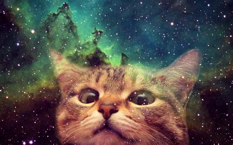 Space Cat Betsul