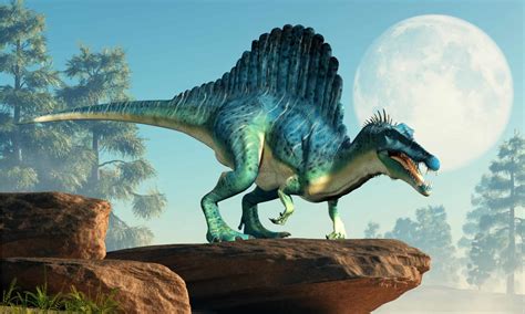 Spinosaurus Betfair
