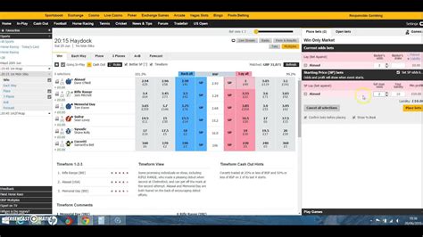 Stake Million Betfair