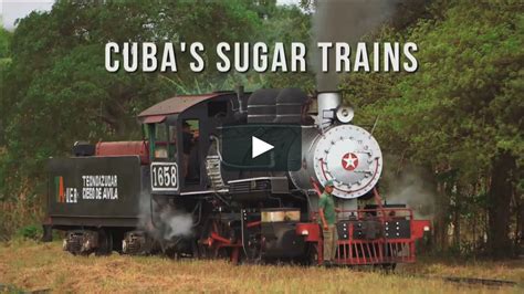 Sugar Train Bodog