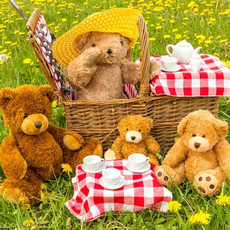 Teddy Bears Picnic Netbet