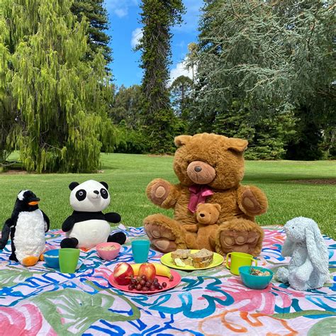 Teddy Bears Picnic Review 2024