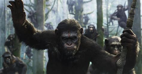 The Apes Review 2024