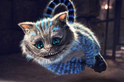 The Cheshire Cat 1xbet