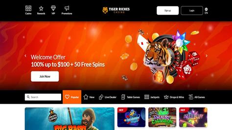 Tiger Riches Casino Online