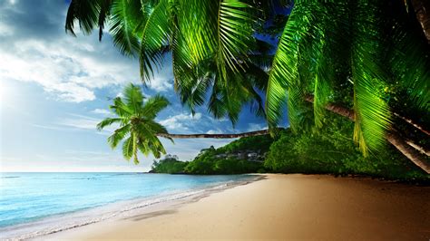 Tropic Paradise Betano