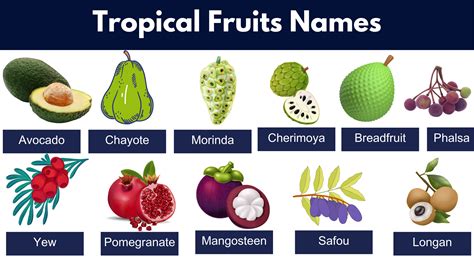 Tropical 7 Fruits Brabet