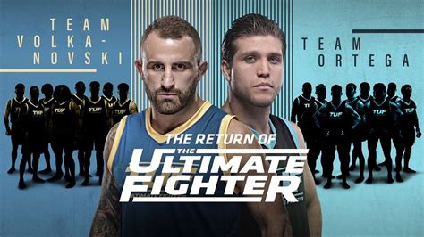 Ultimate Fighter Betsul