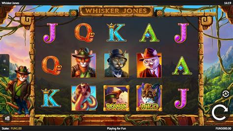 Whisker Jones Bwin