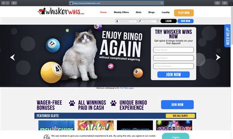 Whisker Wins Casino Aplicacao