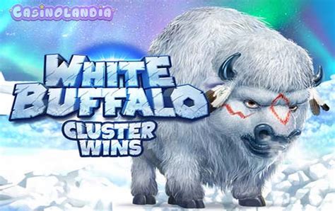 White Buffalo Cluster Wins Brabet
