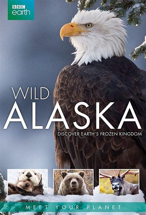 Wild Alaska Netbet