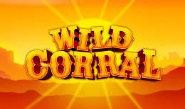 Wild Corral Betfair