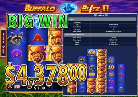 Wild Jungle Casino Apostas