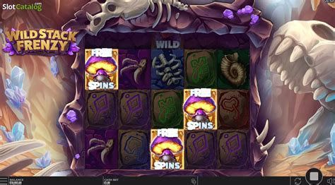 Wild Stack Frenzy Review 2024