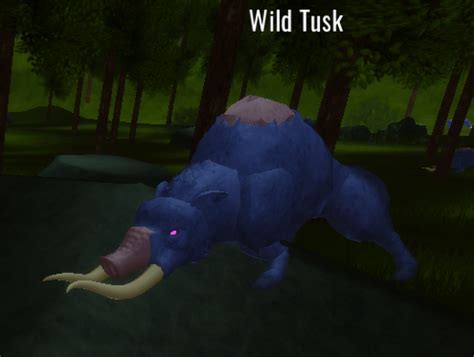 Wild Tusks Betsul