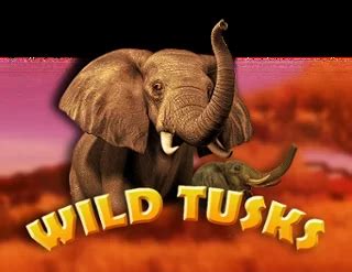 Wild Tusks Review 2024