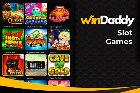 Windaddy Casino Brazil