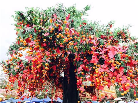 Wishing Tree Betsul