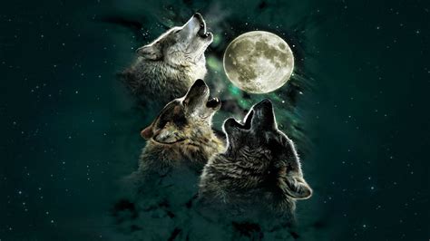 Wolf Moon Parimatch