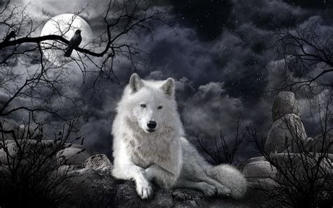 Wolf Night Betway