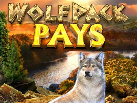 Wolfpack Pays Novibet